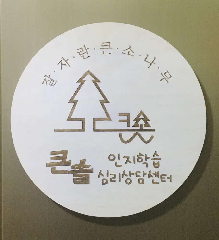 큰솔인지학습심리상담센터 대표 이미지