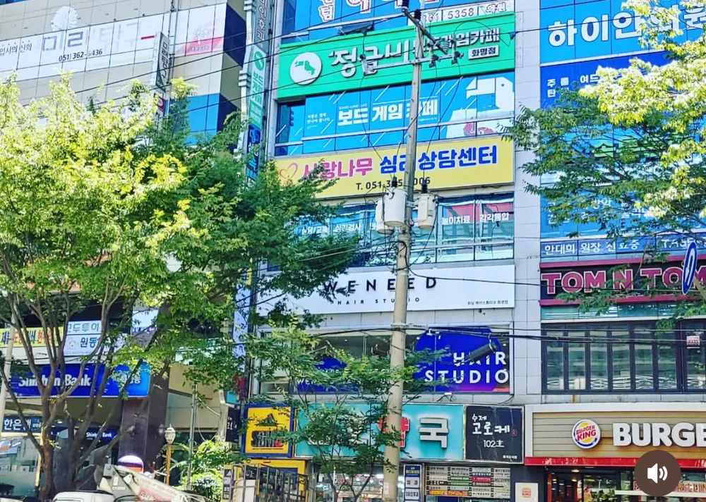 사랑나무 심리상담센터 대표 이미지