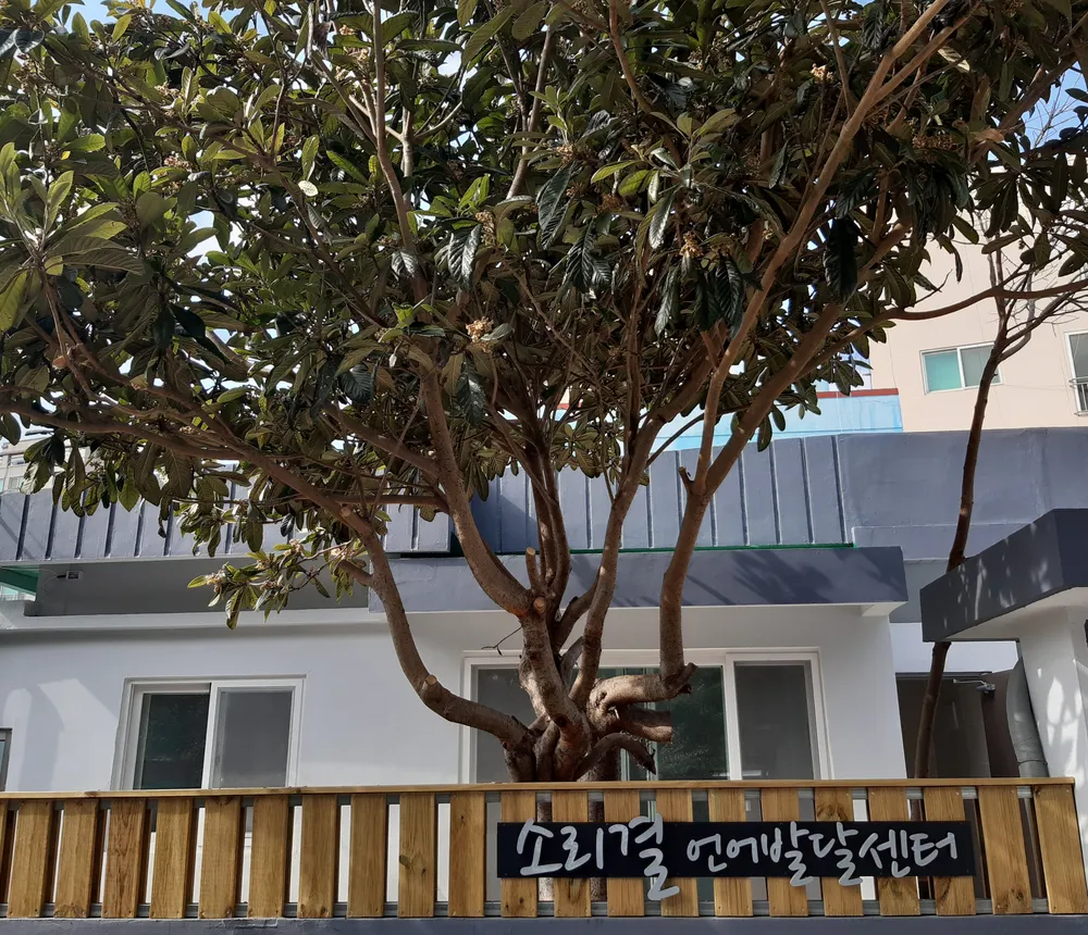 소리결언어발달센터 대표 이미지