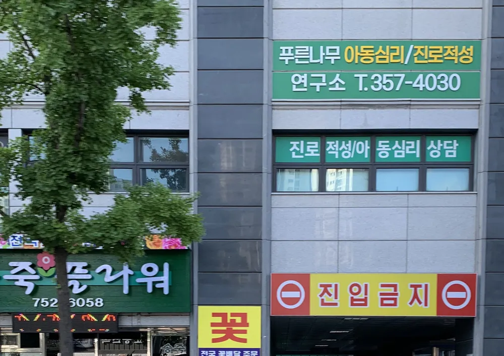 푸른나무연구소 대표 이미지