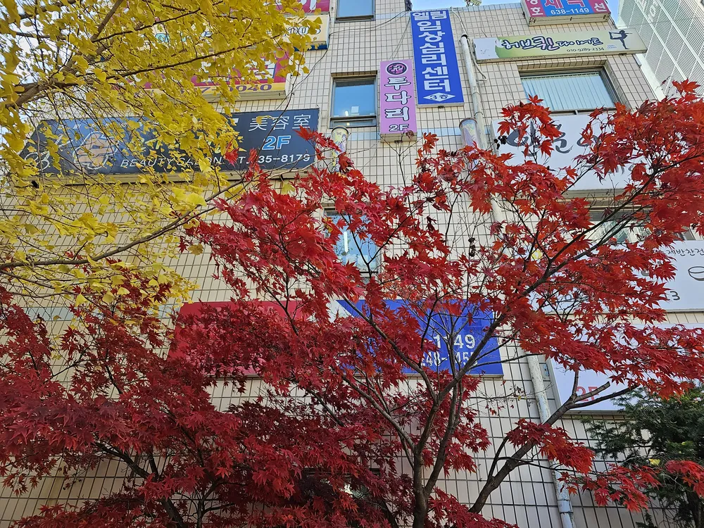엘림임상심리센터 대표 이미지