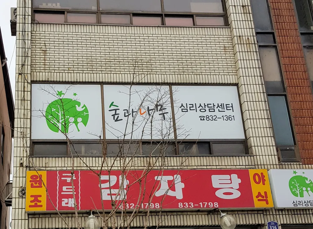 숲과나무심리상담센터 대표 이미지
