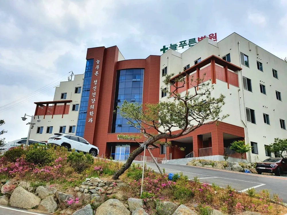 의료법인 성심의료재단 늘푸른병원 대표 이미지