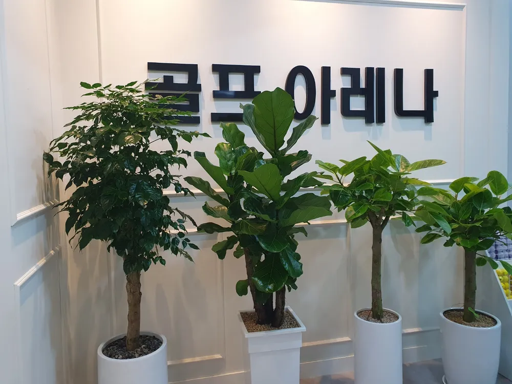 QED아카데미 골프아레나 이천 대표 이미지