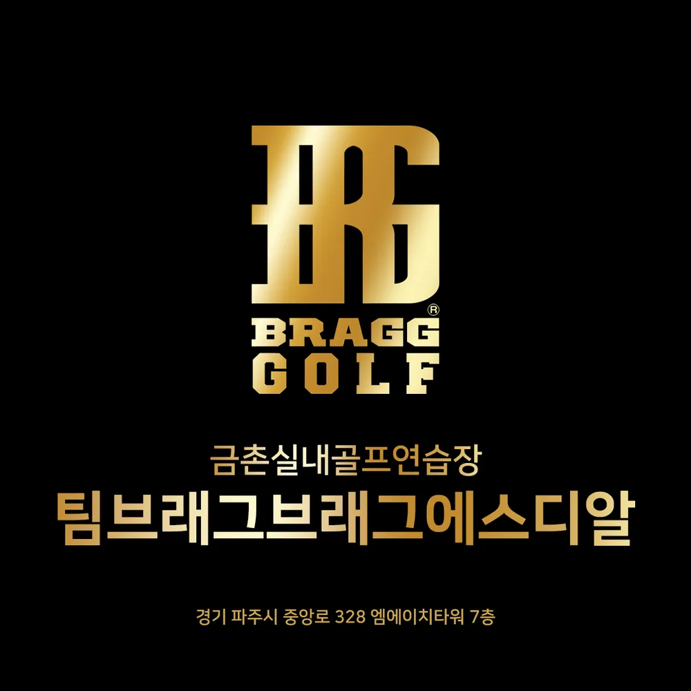 팀브래그브래그에스디알 대표 이미지