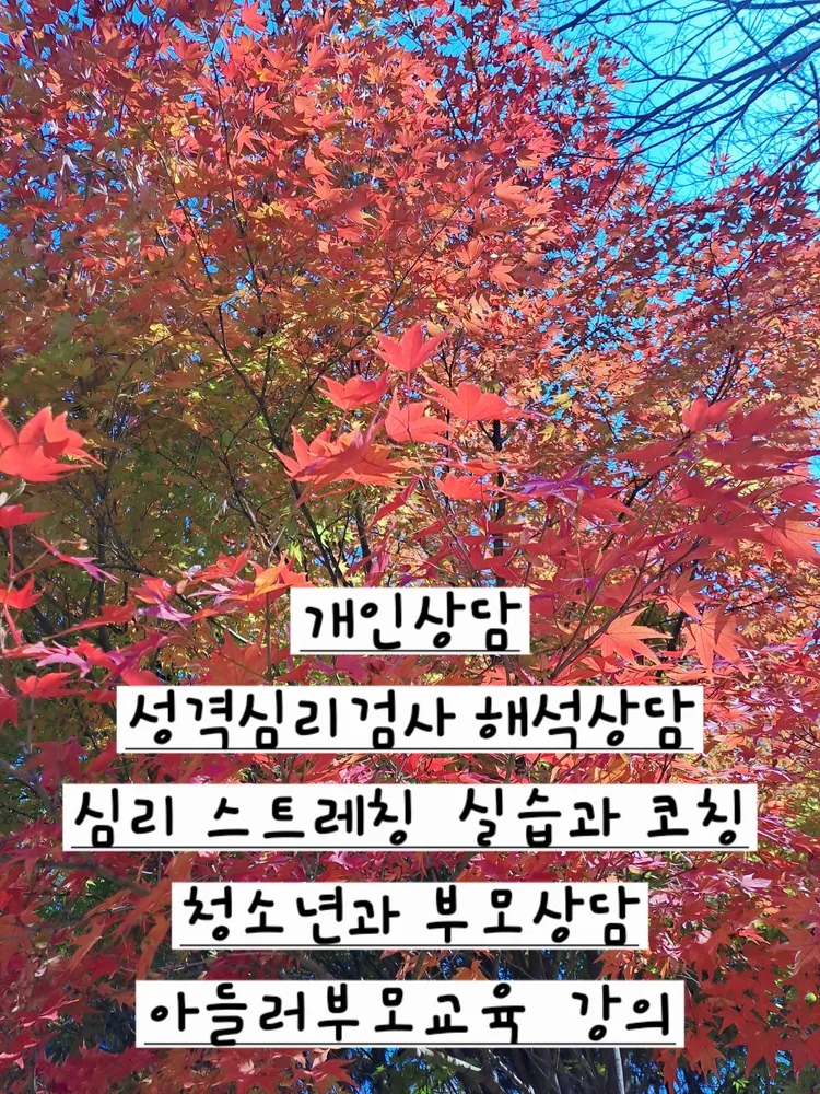 소망샘심리상담센터 대표 이미지