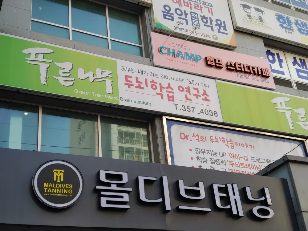 푸른나무 두뇌학습연구소 대표 이미지