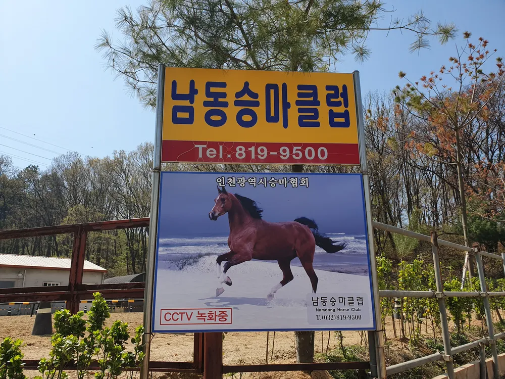 남동승마클럽 대표 이미지