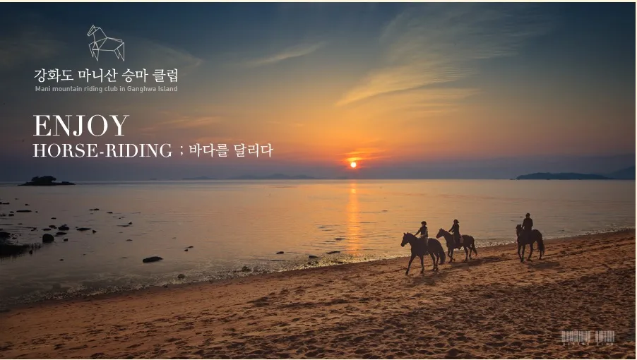 마니산승마클럽 대표 이미지