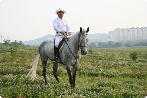 광주첨단승마클럽 대표 이미지