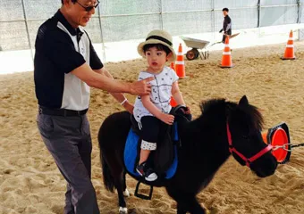 어린이승마체험학교 대표 이미지