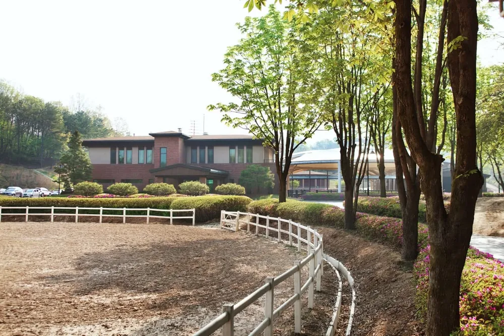 로얄새들승마클럽 대표 이미지