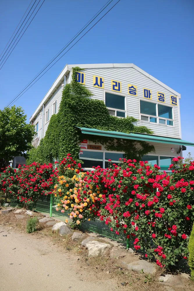 미사리승마공원 대표 이미지