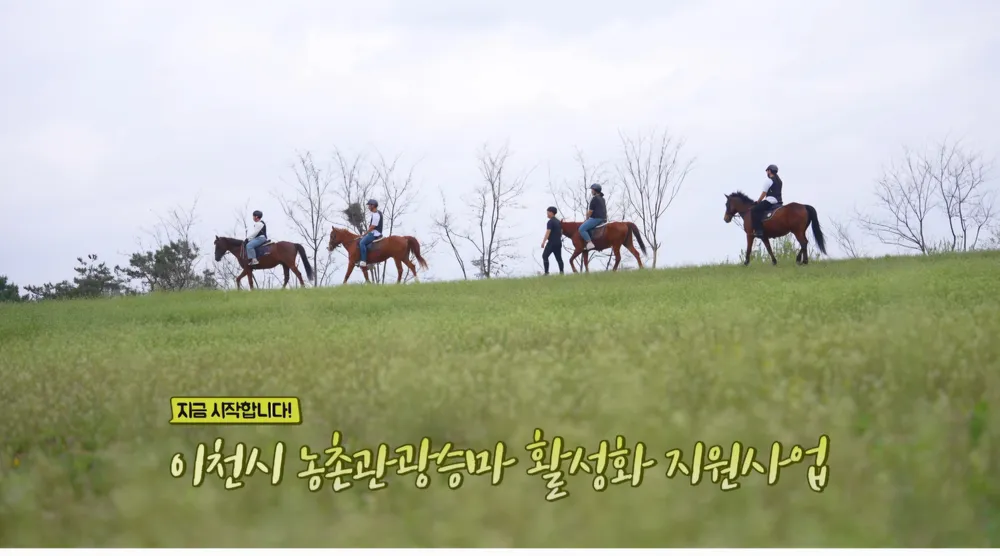 청초원 승마장 대표 이미지