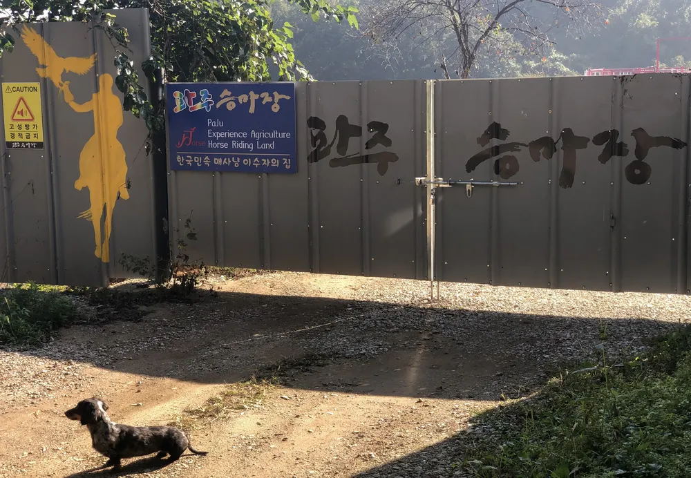 파주승마장 대표 이미지