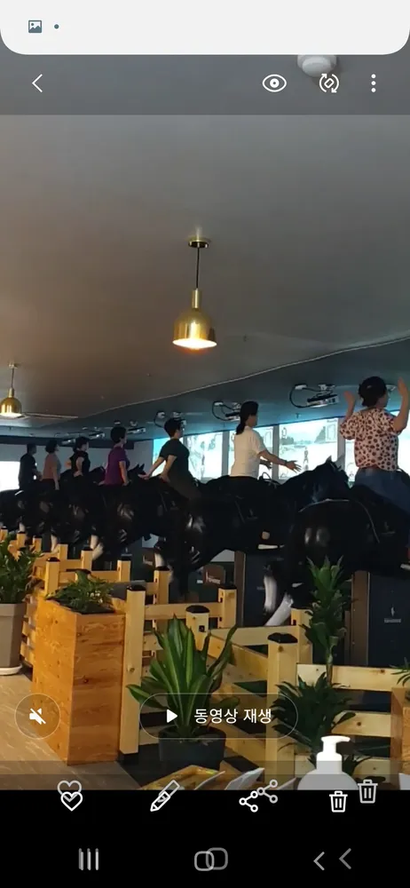 스크린승마 대표 이미지