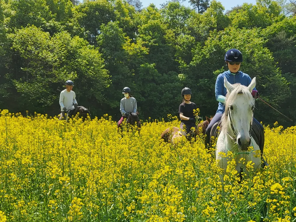 주몽승마장 대표 이미지