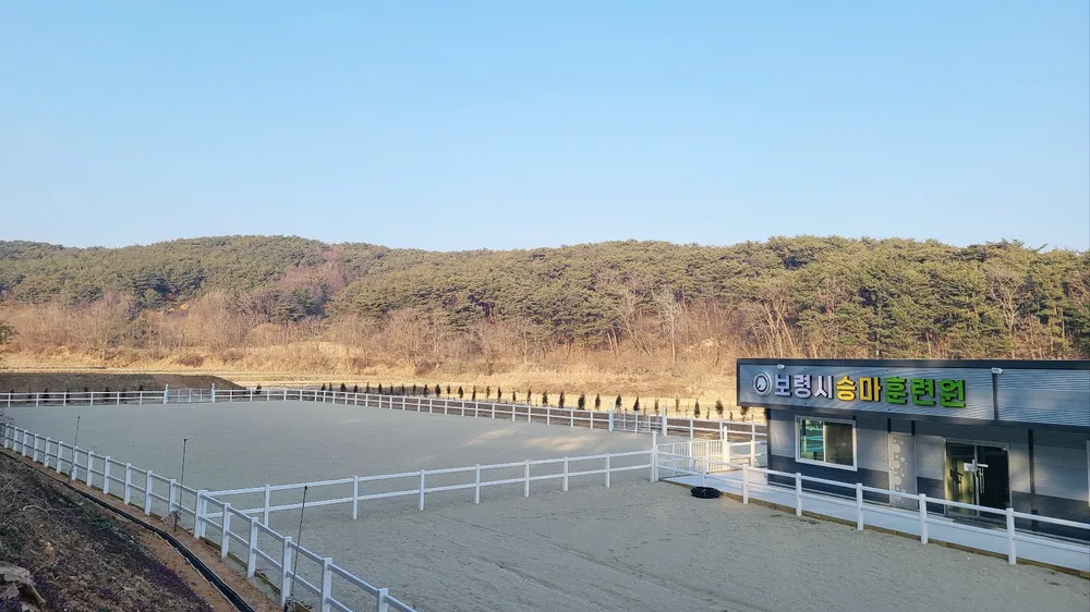 보령시승마센터 대표 이미지