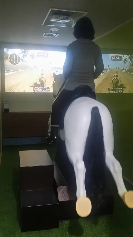 스크린승마 대표 이미지