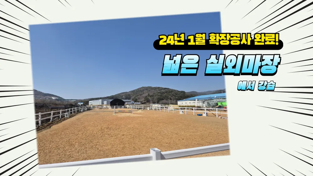 국제승마장 대표 이미지