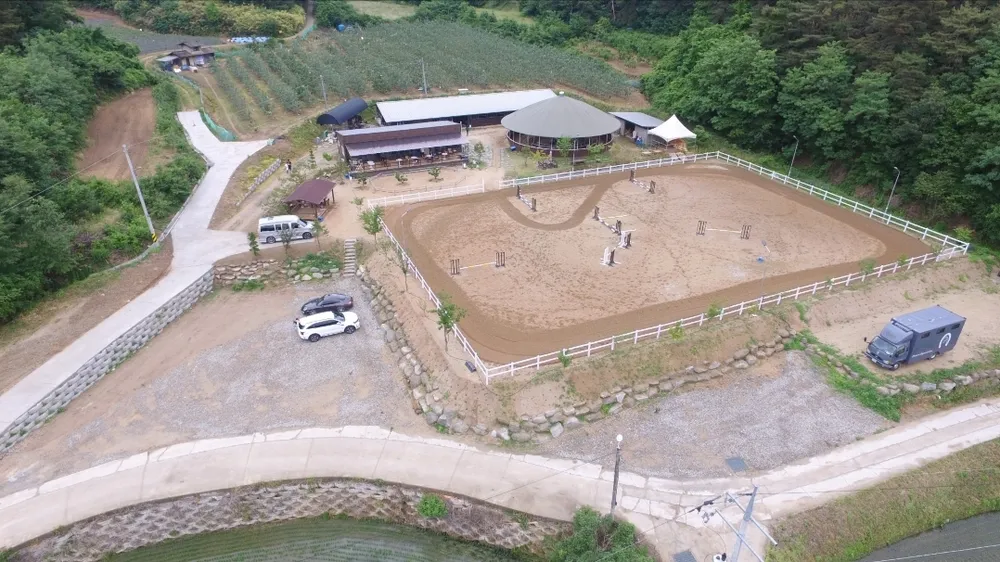 프린스승마클럽 대표 이미지