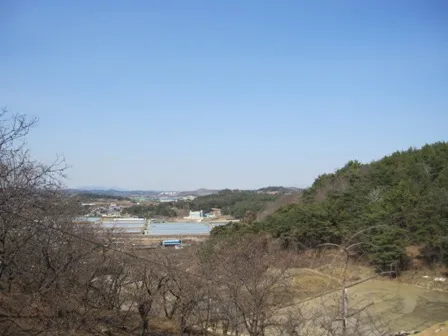 사천 승마장 대표 이미지