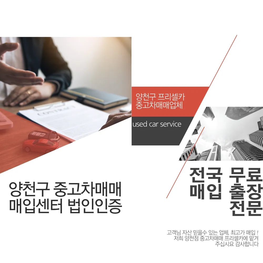 양천중고차매매프리셀카 대표 이미지
