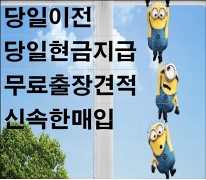 김포중고차매매매입 대표 이미지