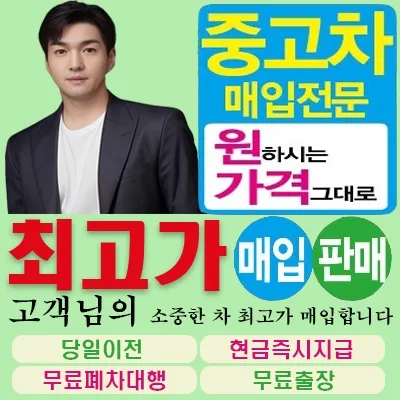 김포중고차매매단지 대표 이미지