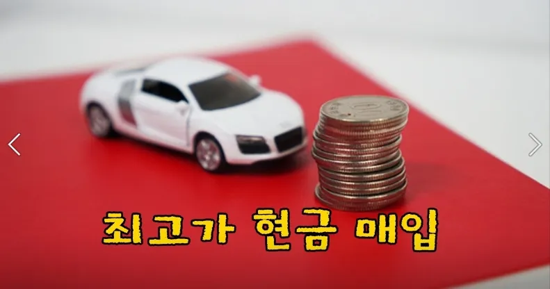 픽플러스카 대표 이미지
