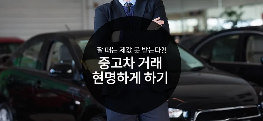 서울자동차매매상사 대표 이미지
