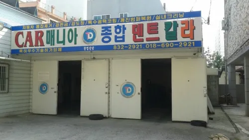 종합덴트칼라