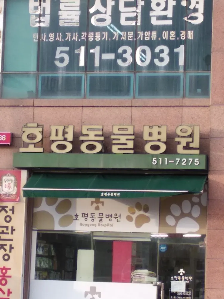 호평동물병원 대표 이미지