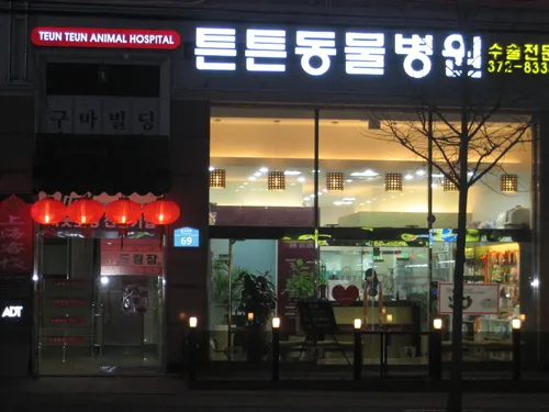 튼튼동물병원 대표 이미지
