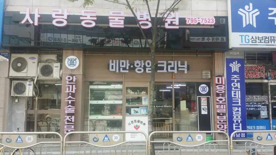 사랑동물병원 대표 이미지