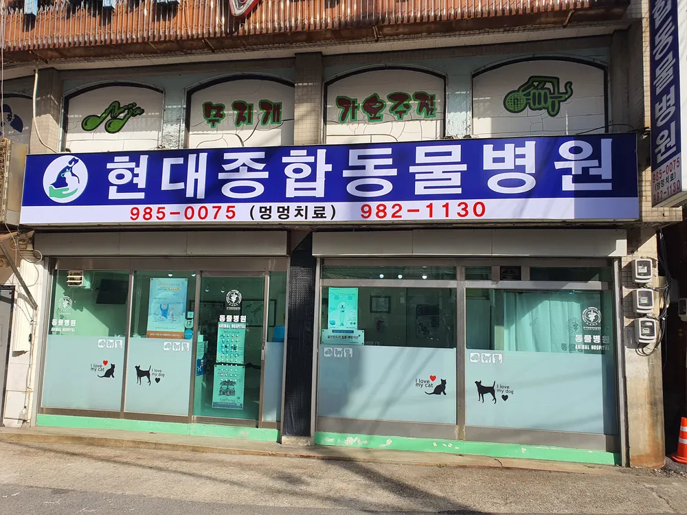 현대종합동물병원 대표 이미지