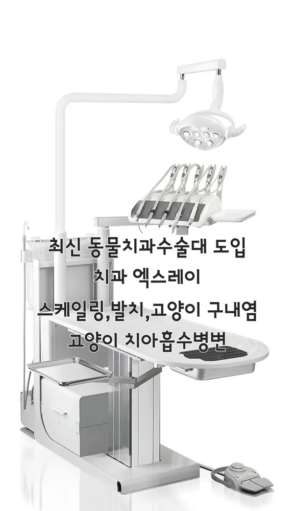 저스트벳동물병원 대표 이미지