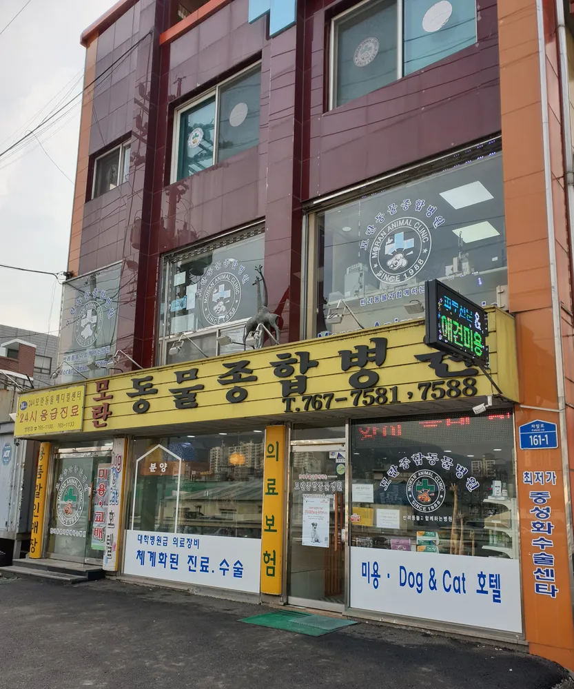 모란동물병원 대표 이미지