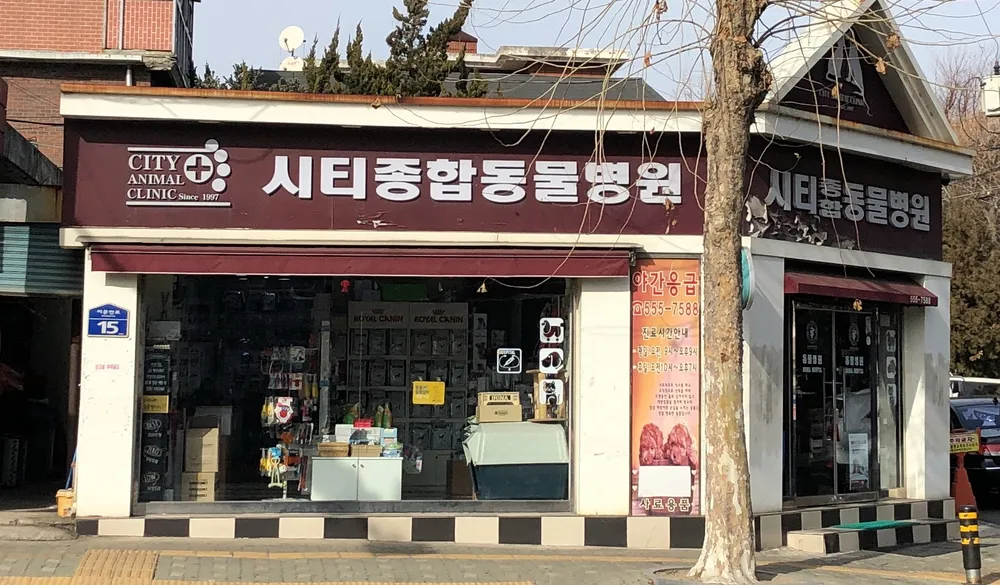시티종합동물병원 대표 이미지