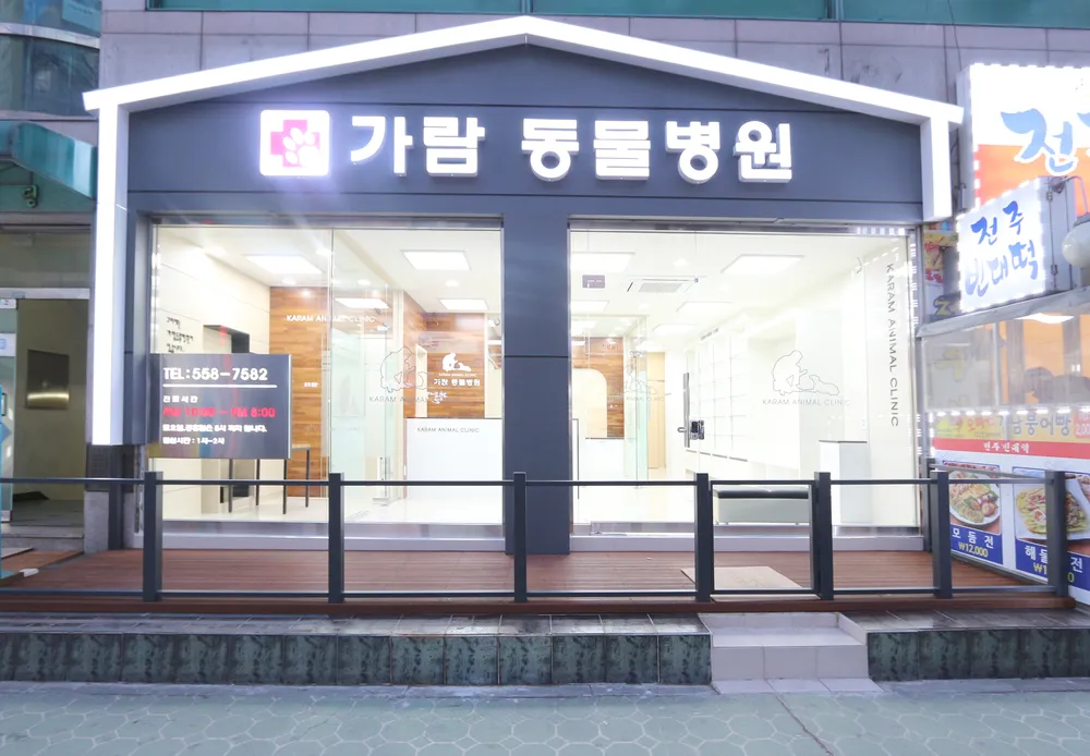 가람동물병원 대표 이미지