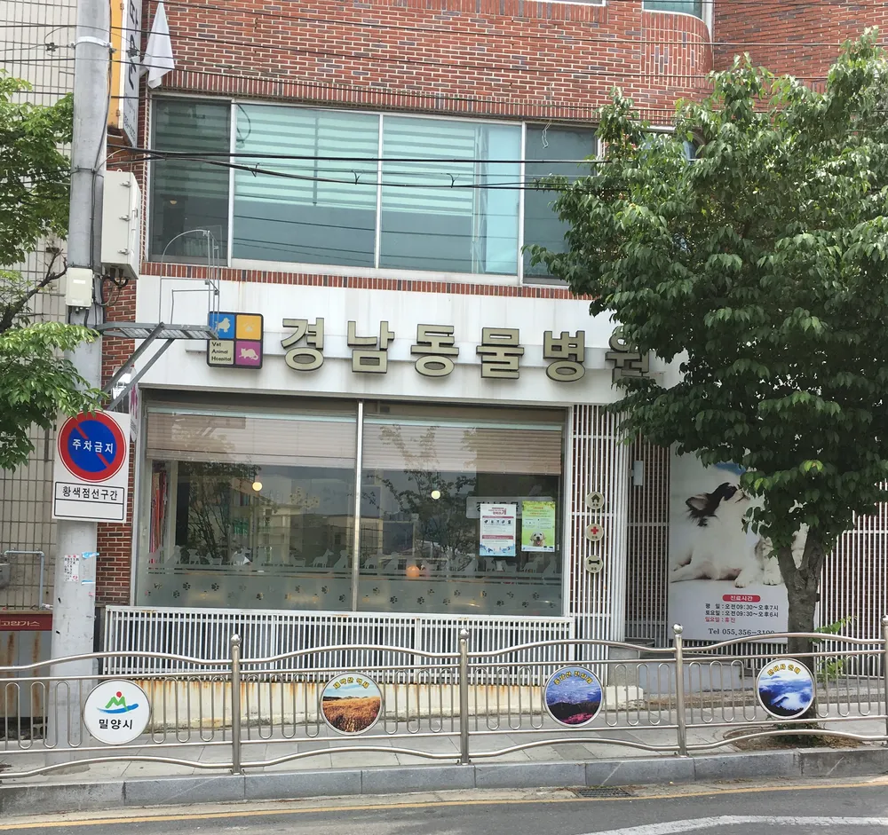 경남동물병원 대표 이미지