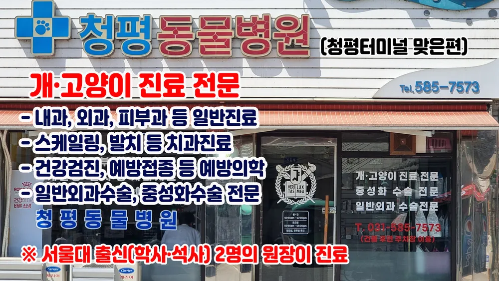 청평동물병원 대표 이미지
