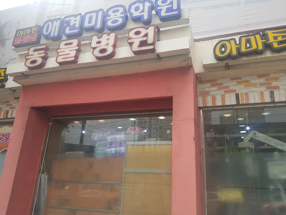 아마존동물병원 대표 이미지