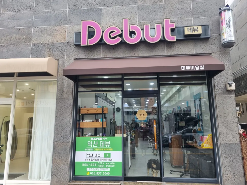 데뷰 대표 이미지