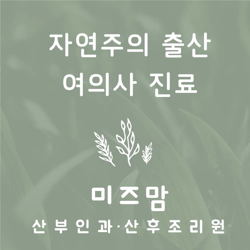 청주미즈맘산부인과의원 대표 이미지