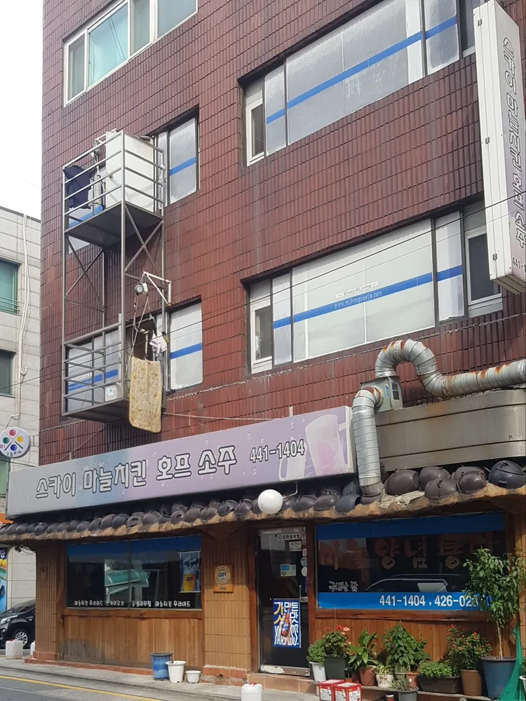 스카이마늘치킨 대표 이미지