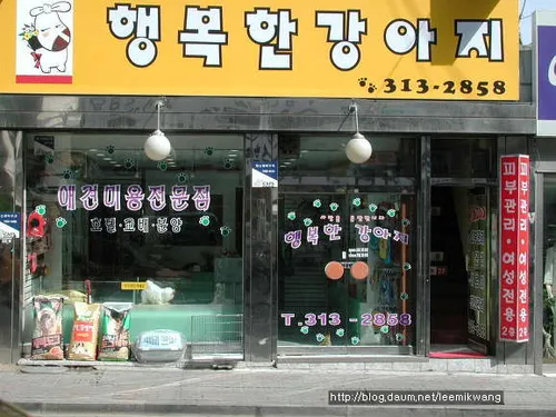 행복한강아지 대표 이미지