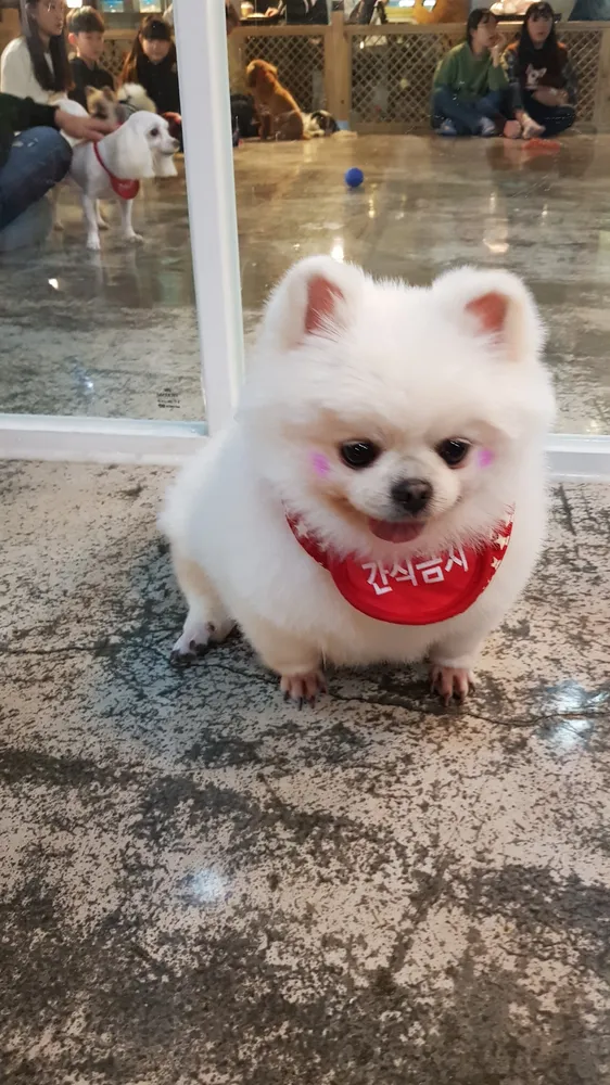 헤이독 대전점 대표 이미지