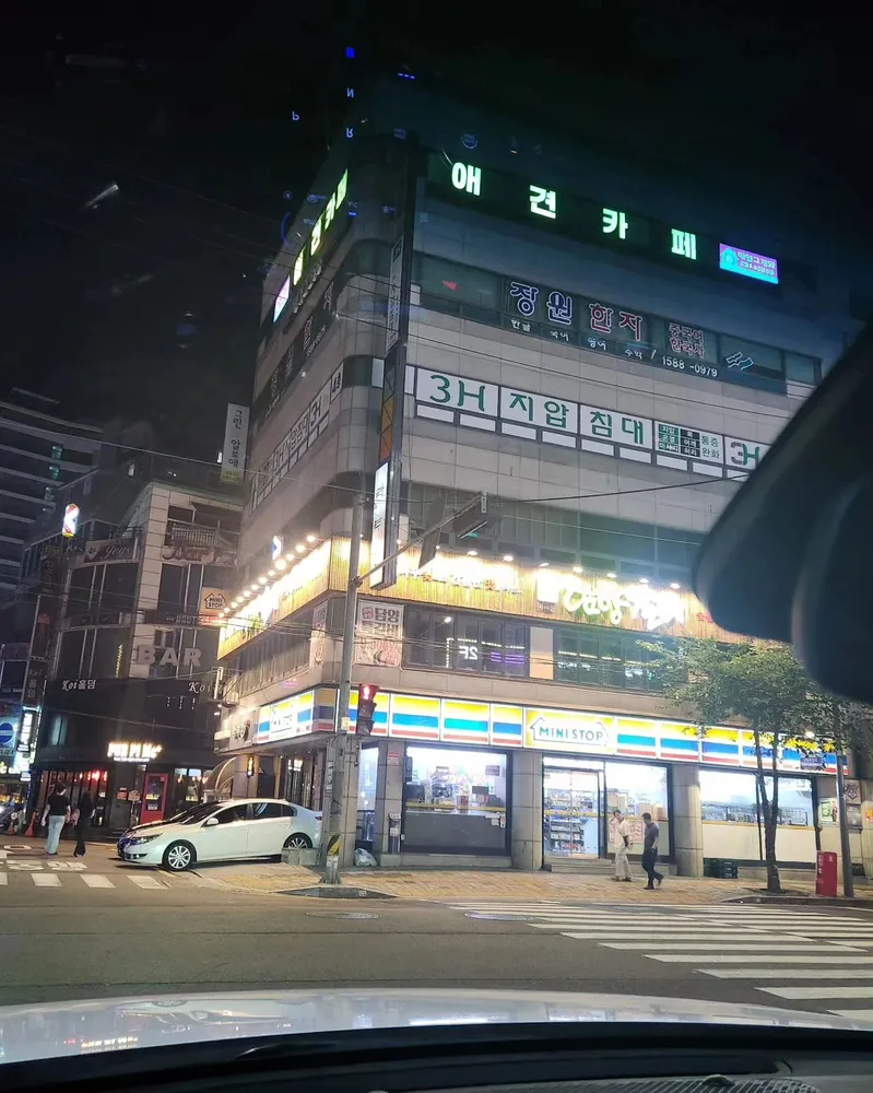 개를 위한 하루 대표 이미지