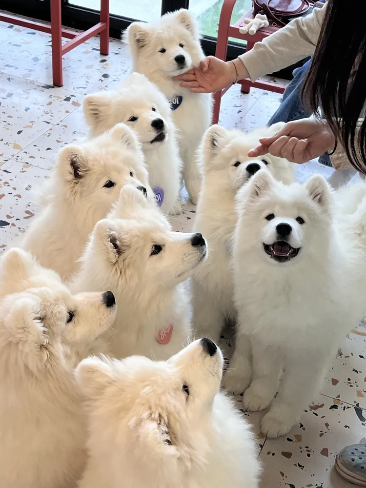 하트멍 대표 이미지